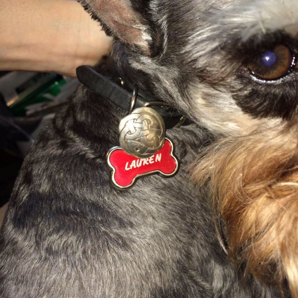 Meet your Posher, Charity